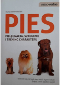 Pies Pielęgnacja szkolenie i trening