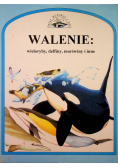 Walenie wieloryby delfiny morświny i inne