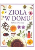 Zioła w domu