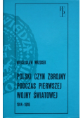 Polski czyn zbrojny podczas pierwszej wojny światowej 1914 - 1918