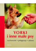 Yorki i inne małe psy