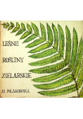 Leśne rośliny zielarskie