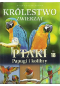Królestwo zwierząt Tom 18 Ptaki papugi i kolibry