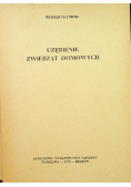 Uzębienie zwierząt domowych