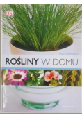 Rośliny w domu