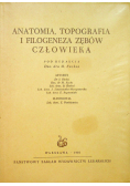 Anatomia topografia i filogeneza zębów człowieka