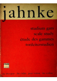 Studium gam na skrzypce