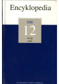 Encyklopedia Tom 19 Trybu wielk