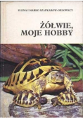 Żółwie moje hobby