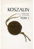 Koszalin z dziejów miasta do 1266 roku tom 1