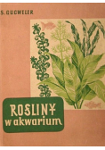 Rośliny w akwarium