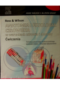 Anatomia i fizjologia człowieka w warunkach zdrowia i choroby ćwiczenia