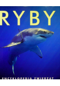 Ryby Encyklopedia zwierząt