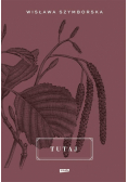Tutaj w.2022