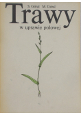Trawy w uprawie polowej