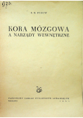 Kora mózgowa a narządy wewnętrzne