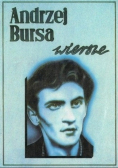 Bursa Wiersze