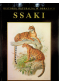 Historia naturalna w obrazach Ssaki