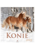 Kalendarz 2023 Wieloplanszowy Konie ARTSEZON