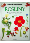 Rośliny Patrzę podziwiam poznaję
