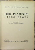 Dur Plamisty i jego istota 1946 r.