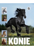 Konie