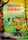 Baśnie polskie Kwiat paproci i inne opowieści