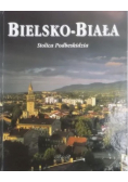 Bielsko Biała stolica Podbeskidzia