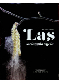 LAS świątynia życia