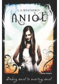 Anioł