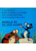 Tajemnice wiklinowej zatoki