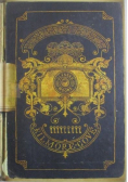 Labirynt cienia