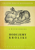 Hodujemy króliki
