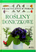 101 praktycznych porad Rośliny doniczkowe