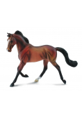 Klacz Thoroughbred maści Bay