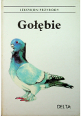 Gołębie leksykon przyrody