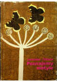 Poznajemy motyle