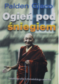 Ogień pod śniegiem