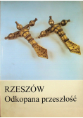 Rzeszów Odkopana przeszłość