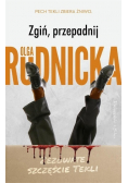 Zgiń przepadnij