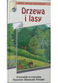 Drzewa i lasy