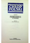 Chłop polski w Europie i Ameryce Tom 4