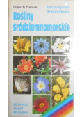 Rośliny śródziemnomorskie