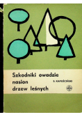 Szkodniki owadzie nasion drzew leśnych