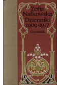 Nałkowska Dzienniki 1909 - 1917
