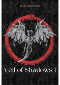 Veil of Shadows I