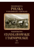 Województwo Stanisławowskie i tarnopolskie