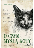 O czym myślą koty
