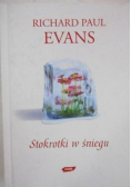 Stokrotki w śniegu