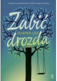Zabić drozda